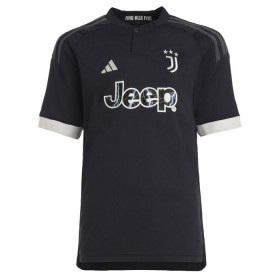 Nogometni Dres Juventus Rabiot 25 Treći 2023-24